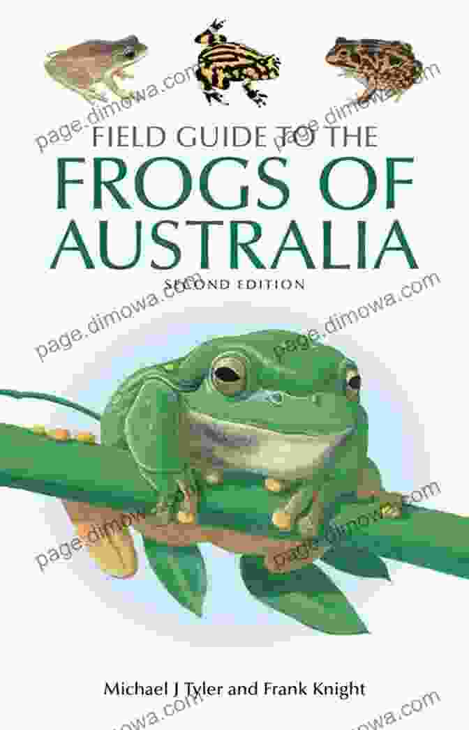 Frogs As Food Field Guide To The Frogs Of Australia