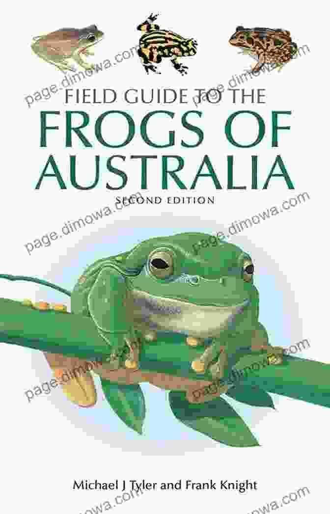 Frogs Consuming Insects Field Guide To The Frogs Of Australia