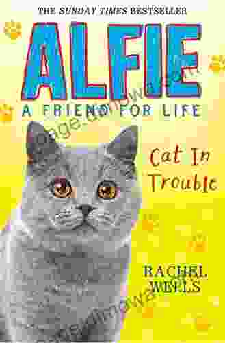 Alfie Cat In Trouble (Alfie A Friend For Life)