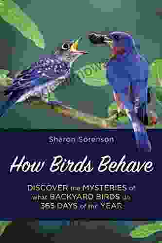 How Birds Behave: Discover The Mysteries Of What Backyard Birds Do 365 Days Of The Year