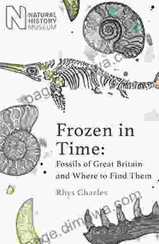 Frozen In Time: Fossils Of Great Britain And Where To Find Them