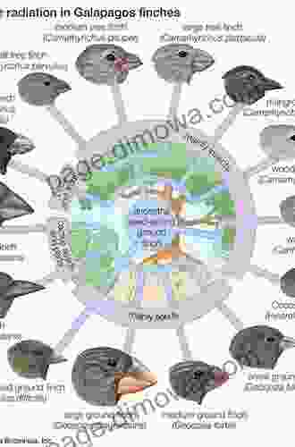 How And Why Species Multiply: The Radiation Of Darwin S Finches (Princeton In Evolutionary Biology)