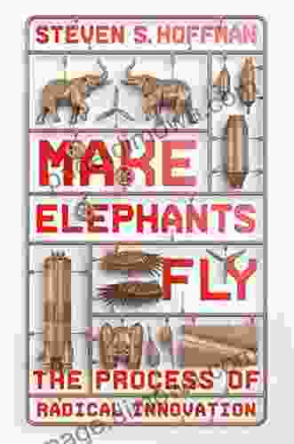 Make Elephants Fly: The Process Of Radical Innovation