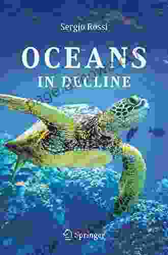 Oceans In Decline Sergio Rossi