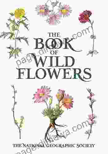 The Of Wild Flowers: Color Plates Of 250 Wild Flowers And Grasses