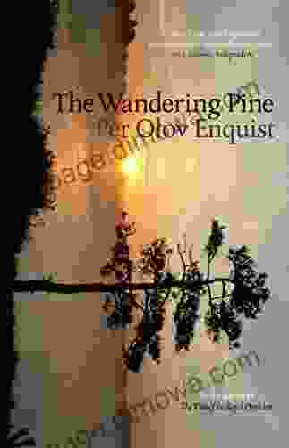 The Wandering Pine: Life As A Novel