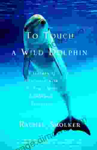 To Touch A Wild Dolphin: A Journey Of Discovery With The Sea S Most Intelligent Creatures