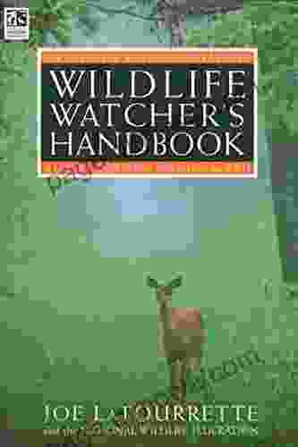 The National Wildlife Federation S Wildlife Watcher S Handbook: A Guide To Observing Animals In The Wild