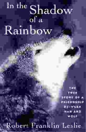 In The Shadow Of A Rainbow: The True Story Of A Friendship Between Man And Wolf