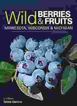 Wild Berries Fruits Field Guide Of Minnesota Wisconsin Michigan (Wild Berries Fruits Identification Guides)